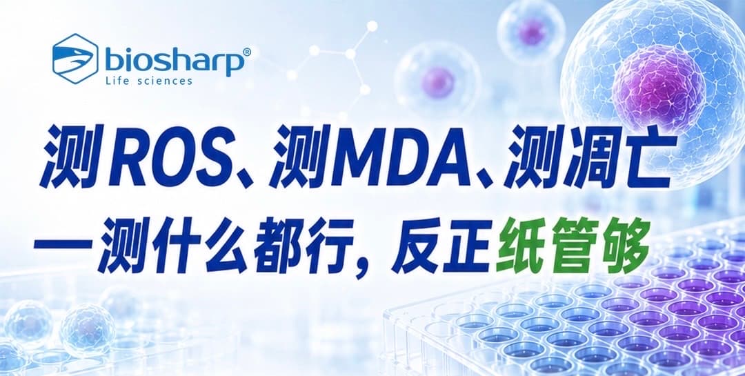 Biosharp 氧化应激与细胞功能检测试剂盒赠实验室吸水纸活动