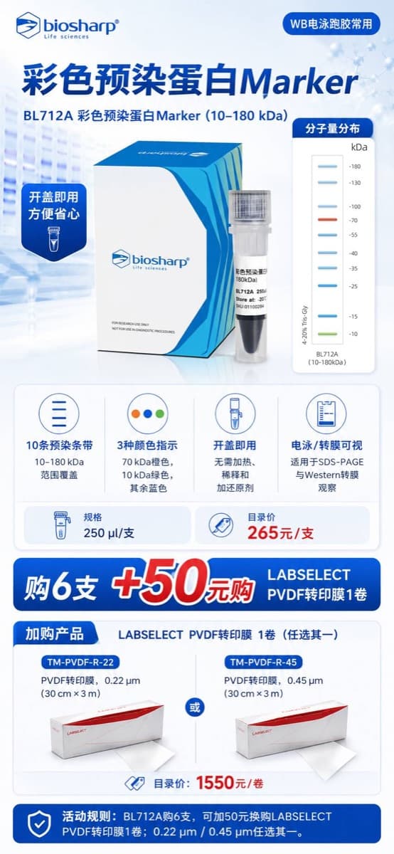 Biosharp BL712A 彩色预染蛋白 Marker 加购 LABSELECT PVDF 转印膜